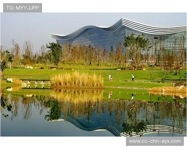 成都蓉城推进密度提升令对方难以喘息